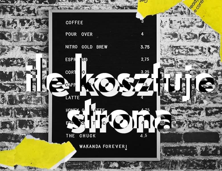 Ile za stronę internetową? Sprawdź, co wpływa na cenę i uniknij kosztów